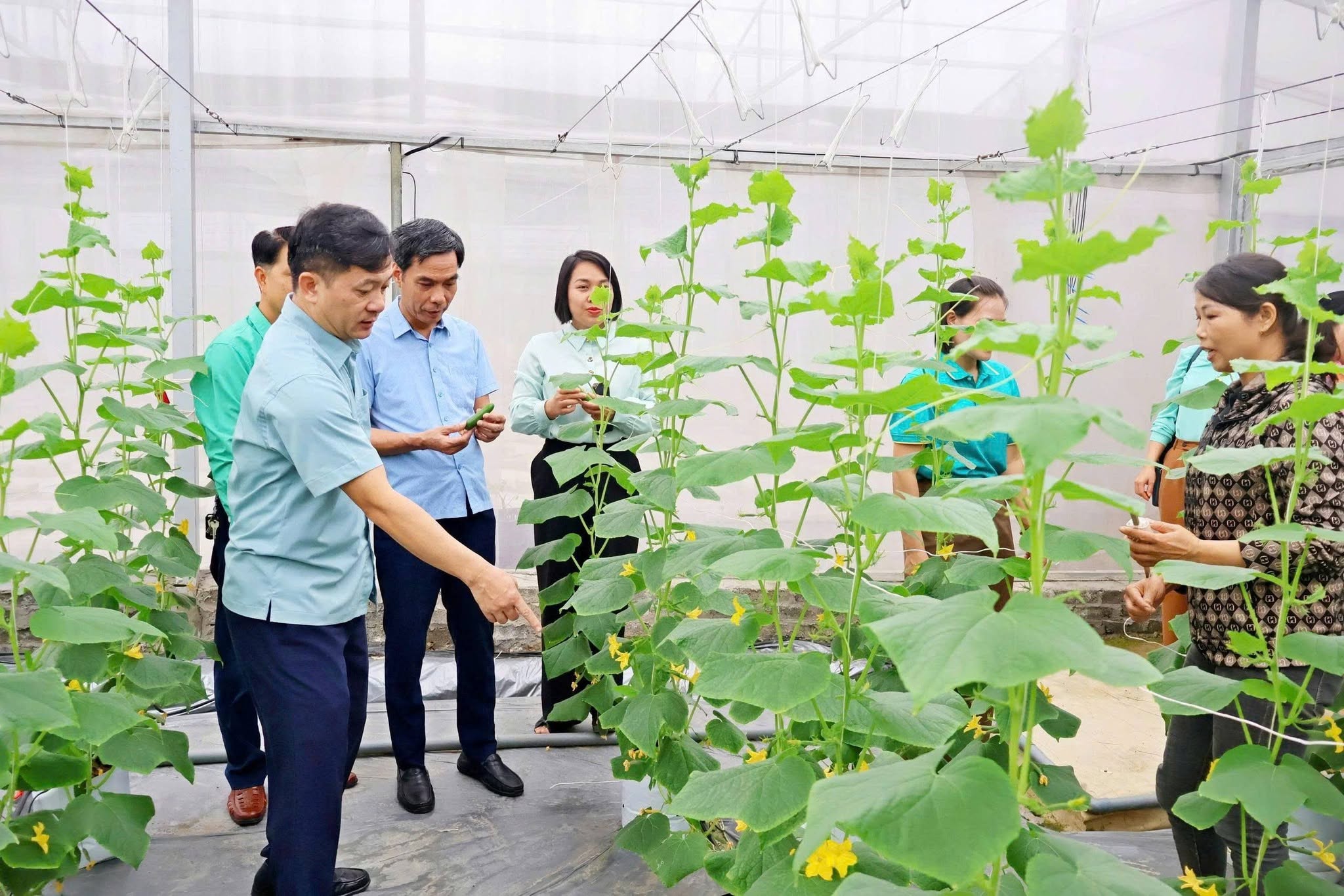 Hội Nông dân thành phố Hà Nội khảo sát mô hình nông nghiệp hiệu quả, đánh giá kết quả công tác Hội tại xã Đoài Phương