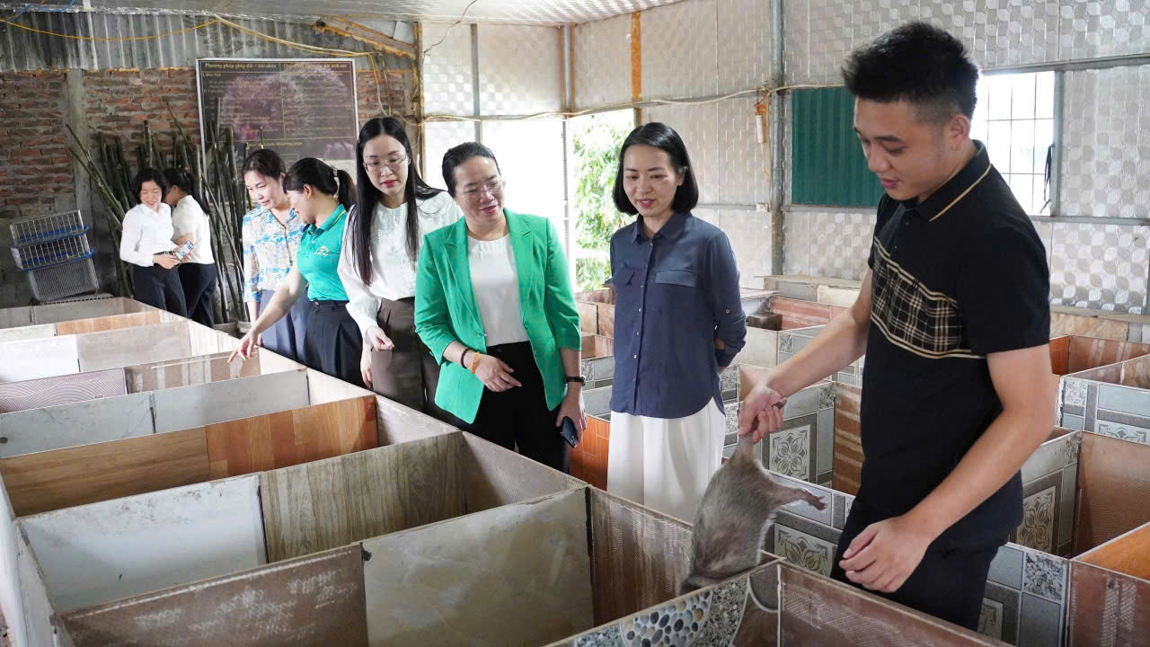Hội Nông dân thành phố Hà Nội khảo sát hoạt động công tác Hội và phong trào nông dân tại xã Phượng Dực