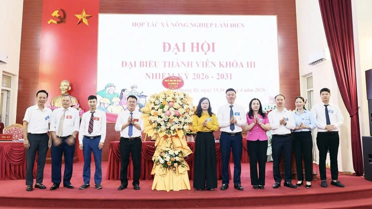 HTX nông nghiệp Lam Điền (xã Quảng Bị) đổi mới hoạt động, hướng tới phát triển nông nghiệp hàng hóa bền vững