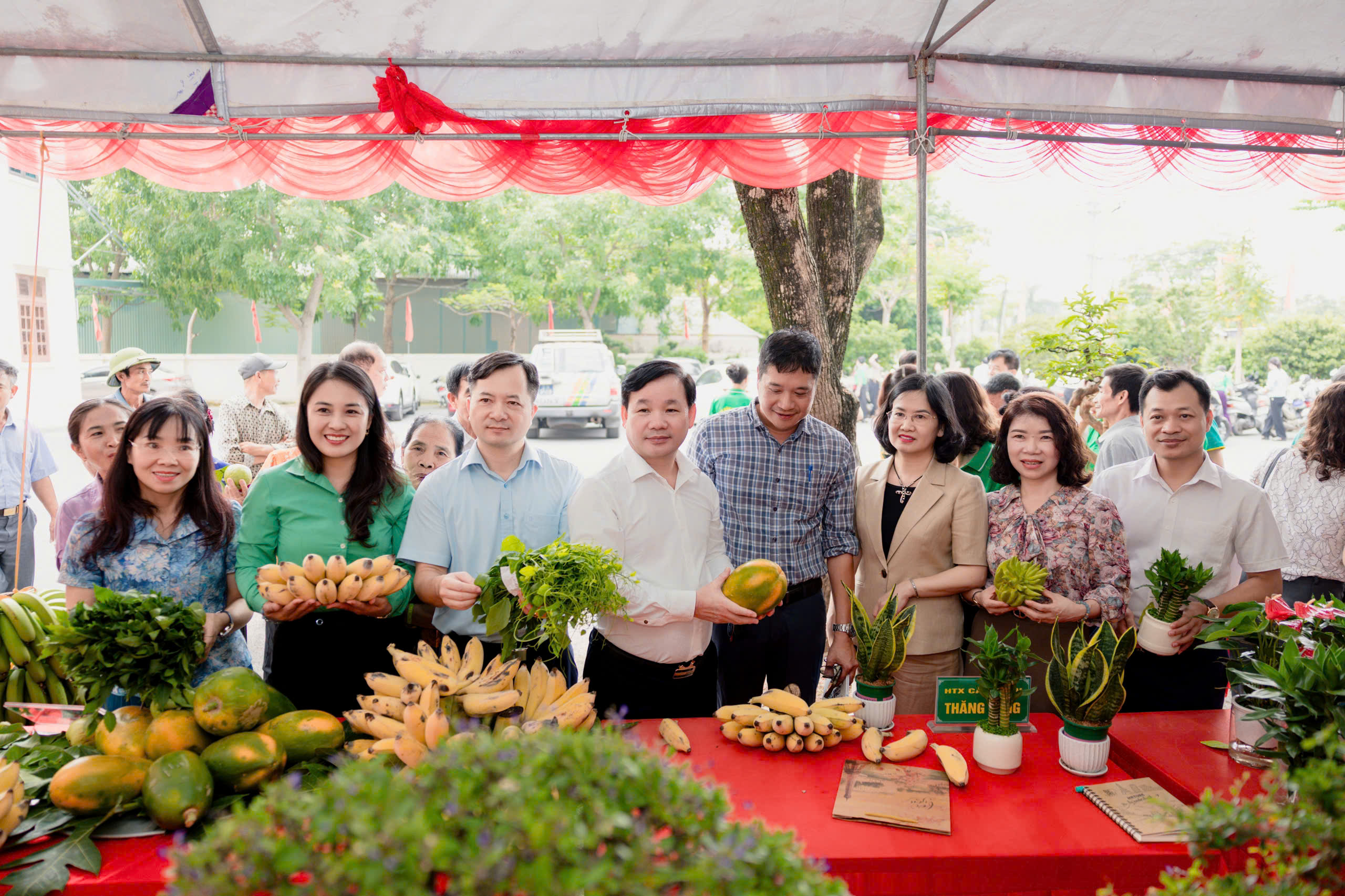 Xã Liên Minh phát huy vai trò nông dân trong phát triển nông nghiệp xanh, bền vững