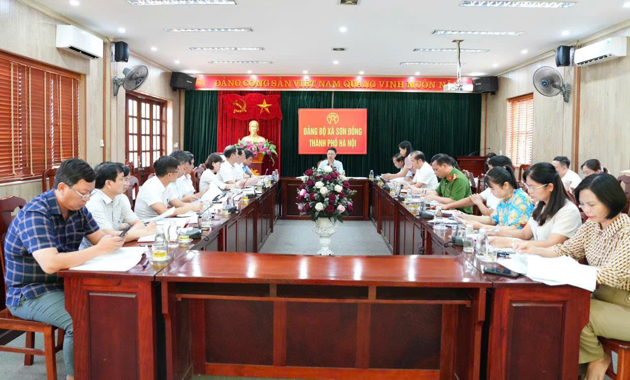 Phát huy vai trò hạt nhân lãnh đạo, quyết tâm thực hiện thắng lợi các nhiệm vụ phát triển của xã Sơn Đồng
