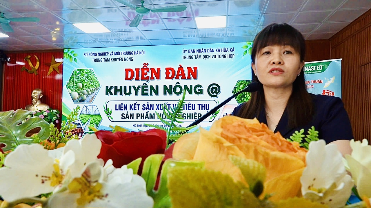 Xã Hòa Xá kết nối “4 nhà”, mở hướng phát triển nông nghiệp bền vững từ liên kết sản xuất và tiêu thụ
