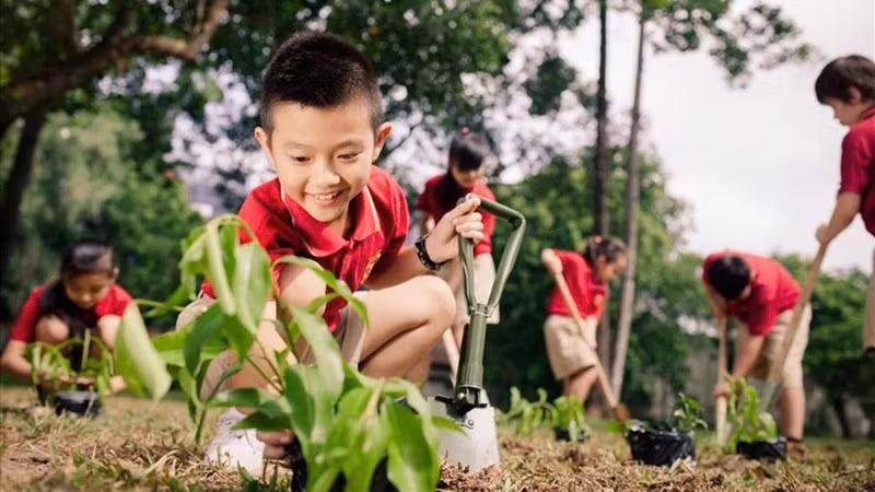 Những hành động nhỏ tạo nên sự thay đổi lớn