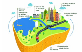 Hà Nội xây dựng lộ trình tổng thể xử lý úng ngập nội thành