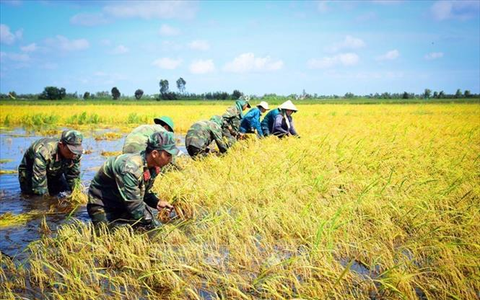 Hà Nội triển khai Đề án nâng cao nhận thức về Quân đội tham gia phát triển kinh tế gắn với củng cố quốc phòng