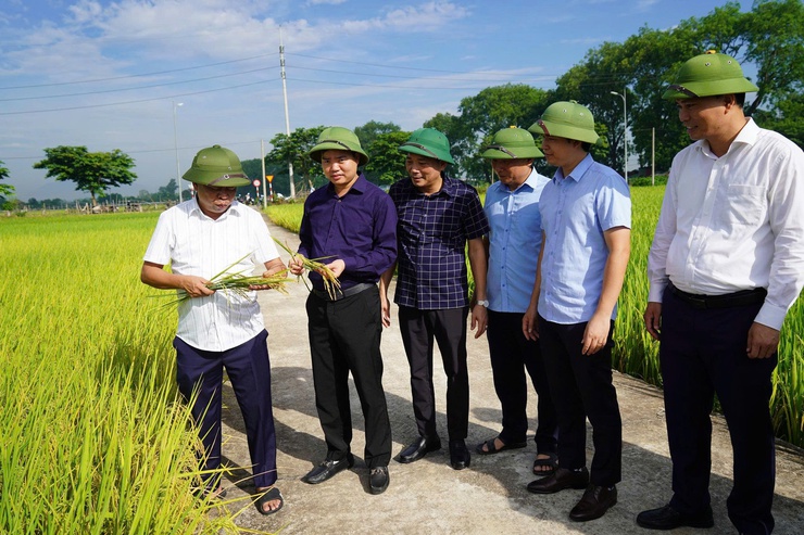 Xã Tây Phương đánh giá năng suất lúa vụ Xuân 2026, chủ động chuẩn bị cho mùa thu hoạch thắng lợi