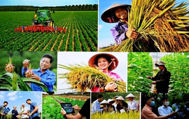 Hà Nội chỉ đạo xây dựng Kế hoạch phát triển kinh tế - xã hội và dự toán ngân sách nhà nước năm 2027
