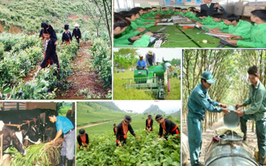 Hà Nội đổi mới đào tạo nghề cho lao động nông thôn, phấn đấu mỗi năm đào tạo khoảng 20.000 người