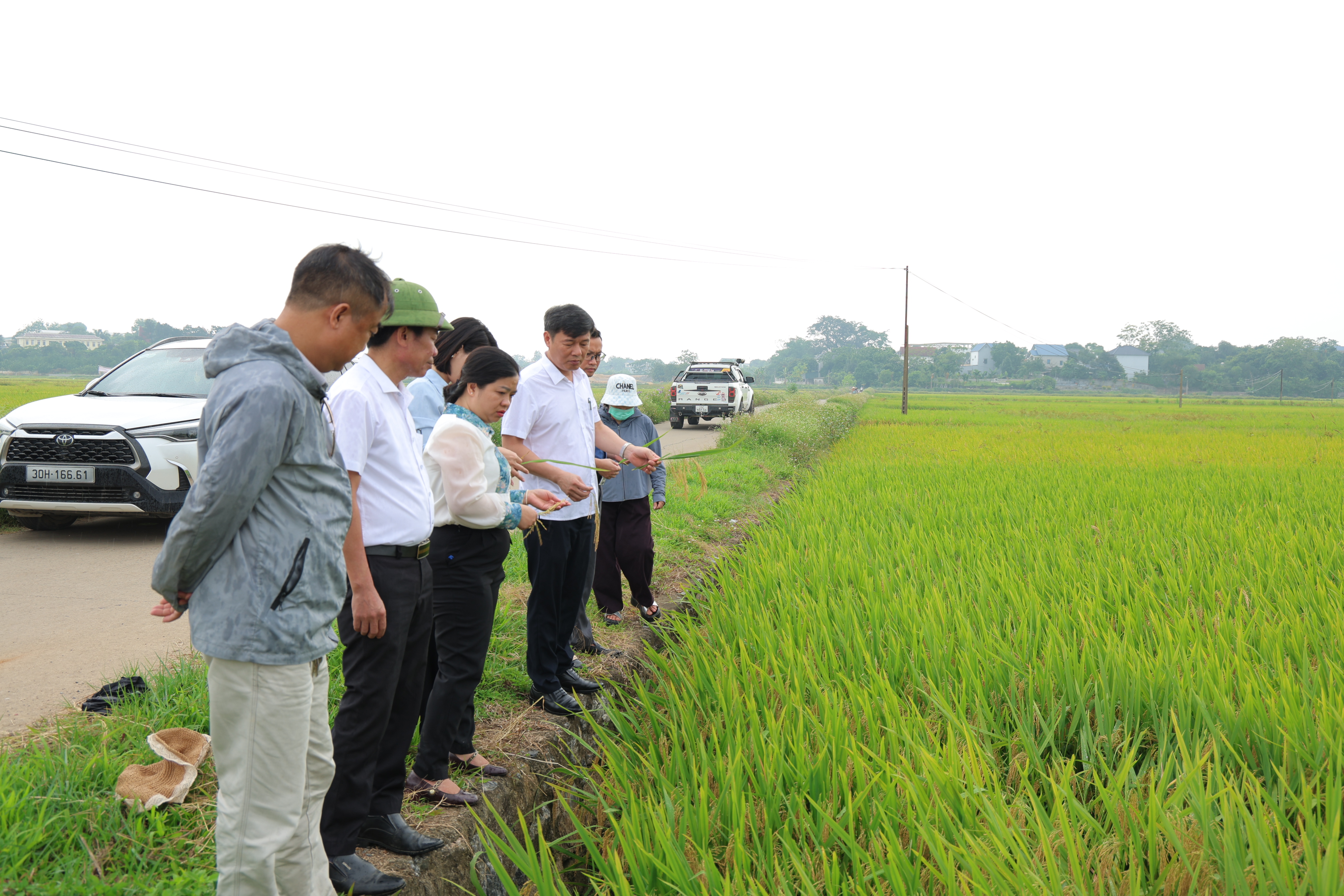 Xã Phú Nghĩa giữ vững đà tăng trưởng, tạo nền tảng bứt phá mục tiêu kinh tế hai con số