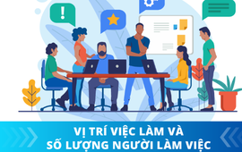 Hà Nội triển khai thực hiện Nghị quyết về vị trí việc làm và biên chế trong hệ thống chính quyền Thành phố