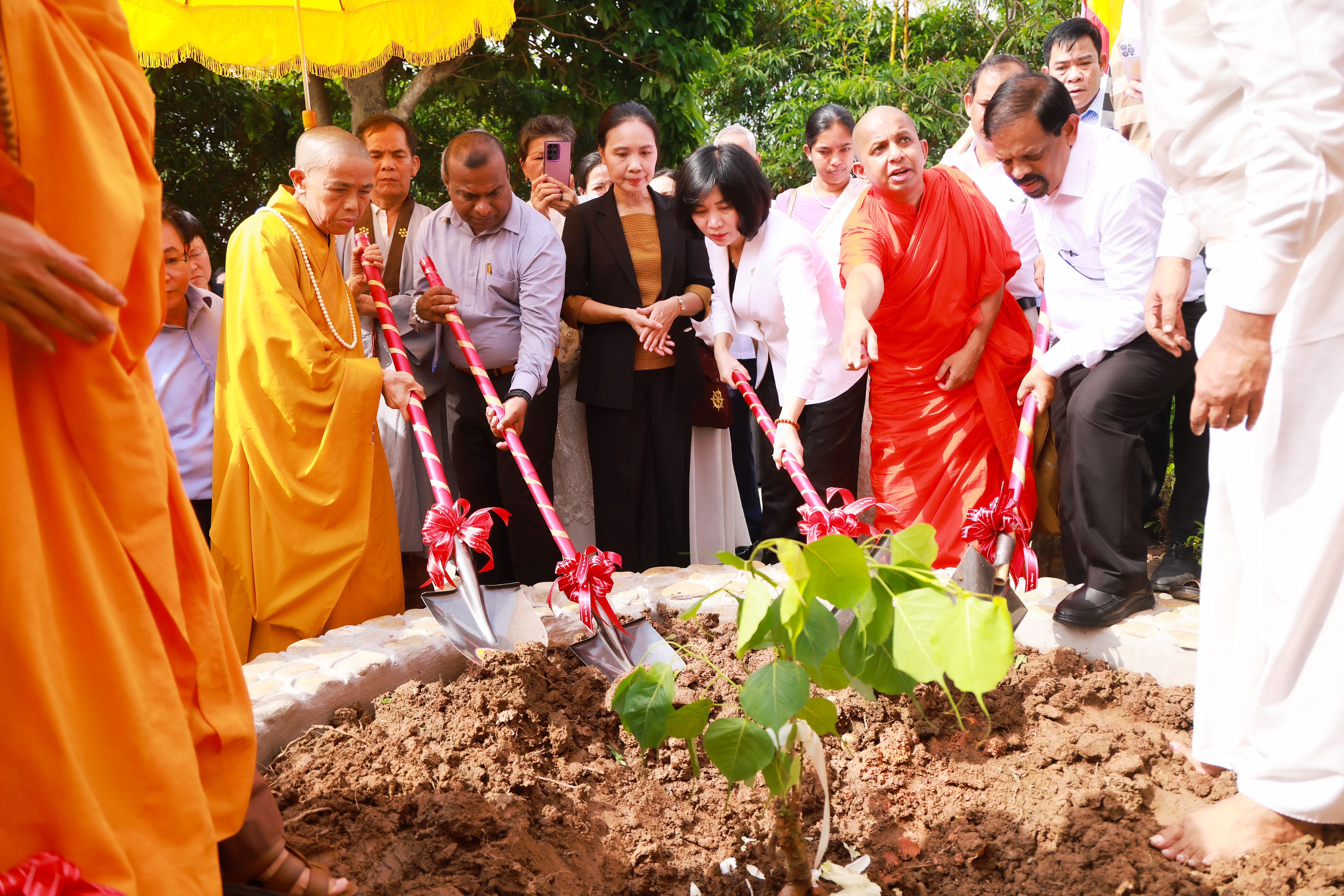Thánh tích cội Bồ Đề được gieo trồng tại chùa Vạn Phúc, xã Sóc Sơn
