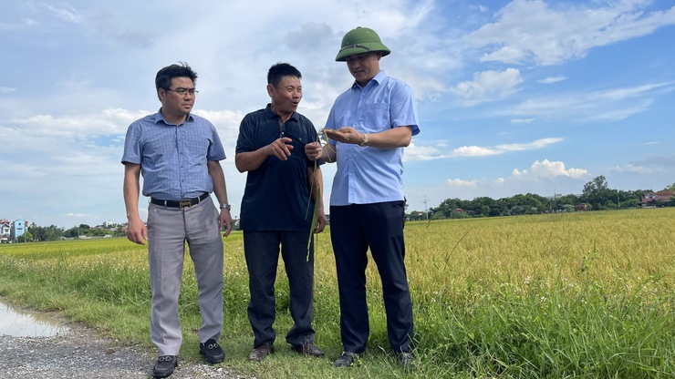Xã Phú Xuyên chủ động kiểm tra sản xuất vụ Xuân, sẵn sàng bước vào cao điểm thu hoạch và chuẩn bị vụ Mùa