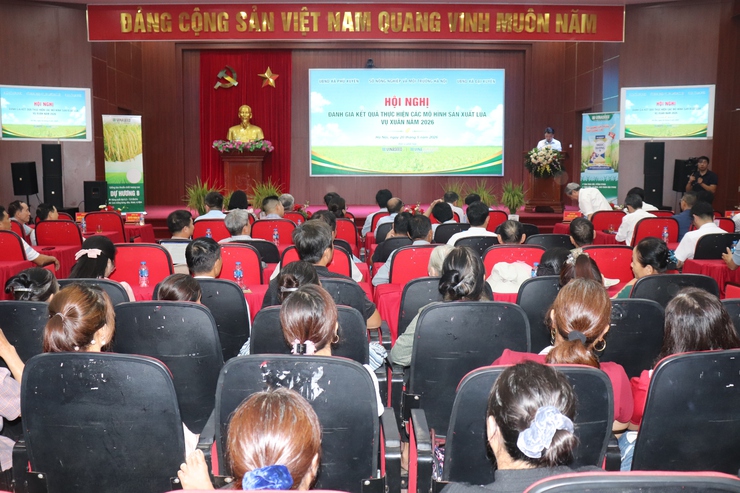 Xã Phú Xuyên thúc đẩy cơ giới hóa sản xuất lúa, mở rộng mô hình giống chất lượng cao gắn với liên kết tiêu thụ