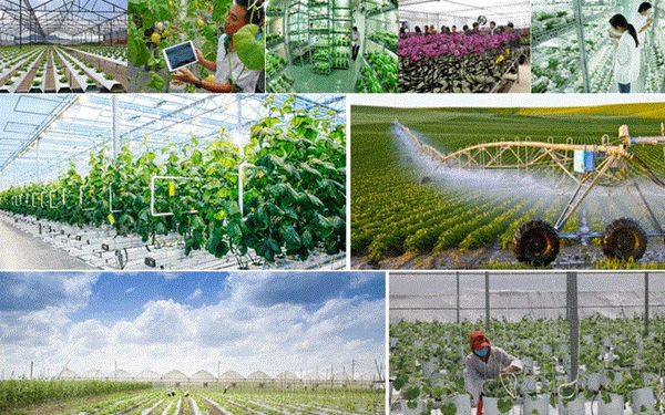 Tiếp tục thực hiện Nghị quyết về nông nghiệp, nông dân, nông thôn đến năm 2030, tầm nhìn đến năm 2045