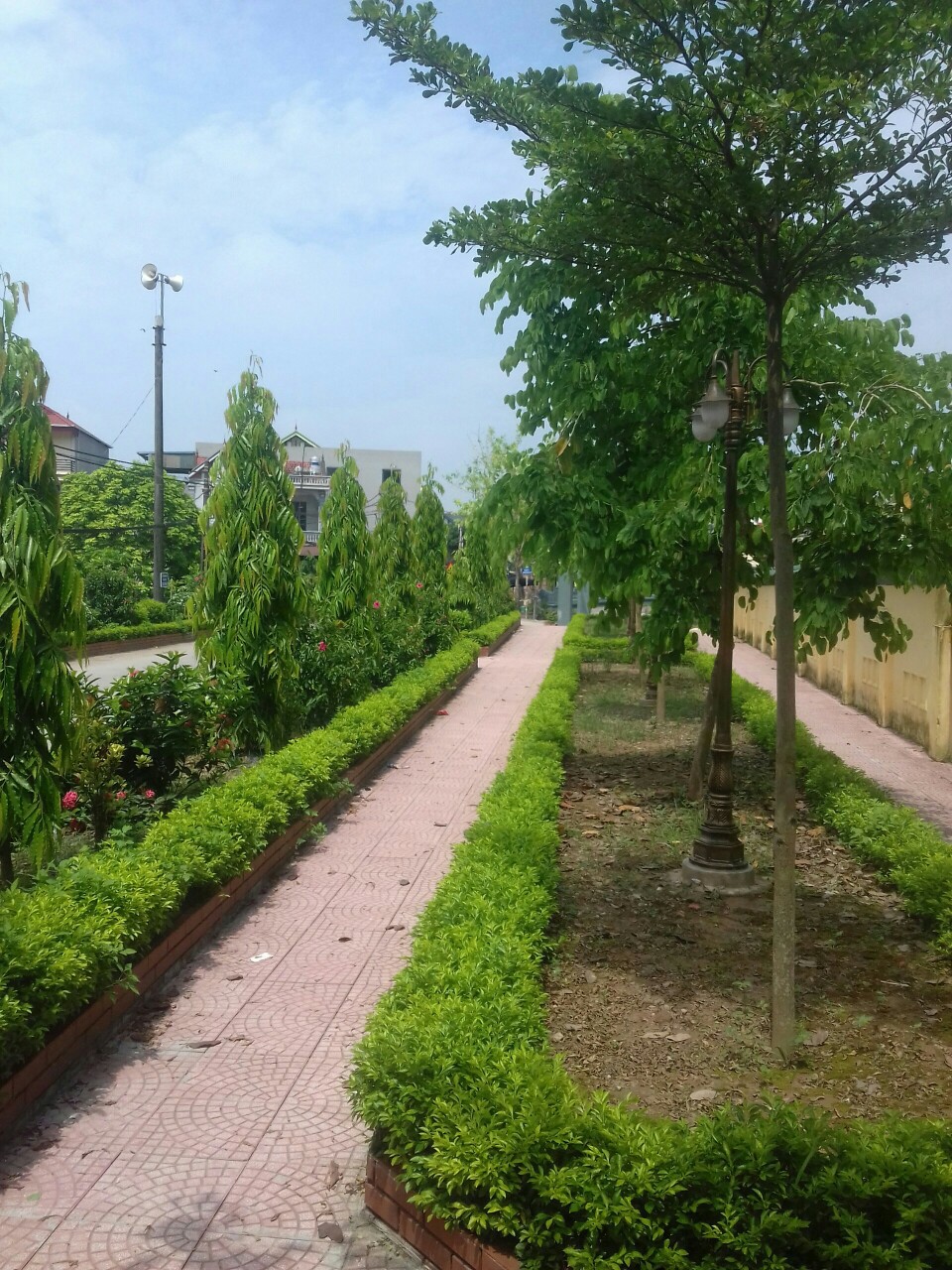 Đường làng thôn La Thạch rợp cây xanh và hoa