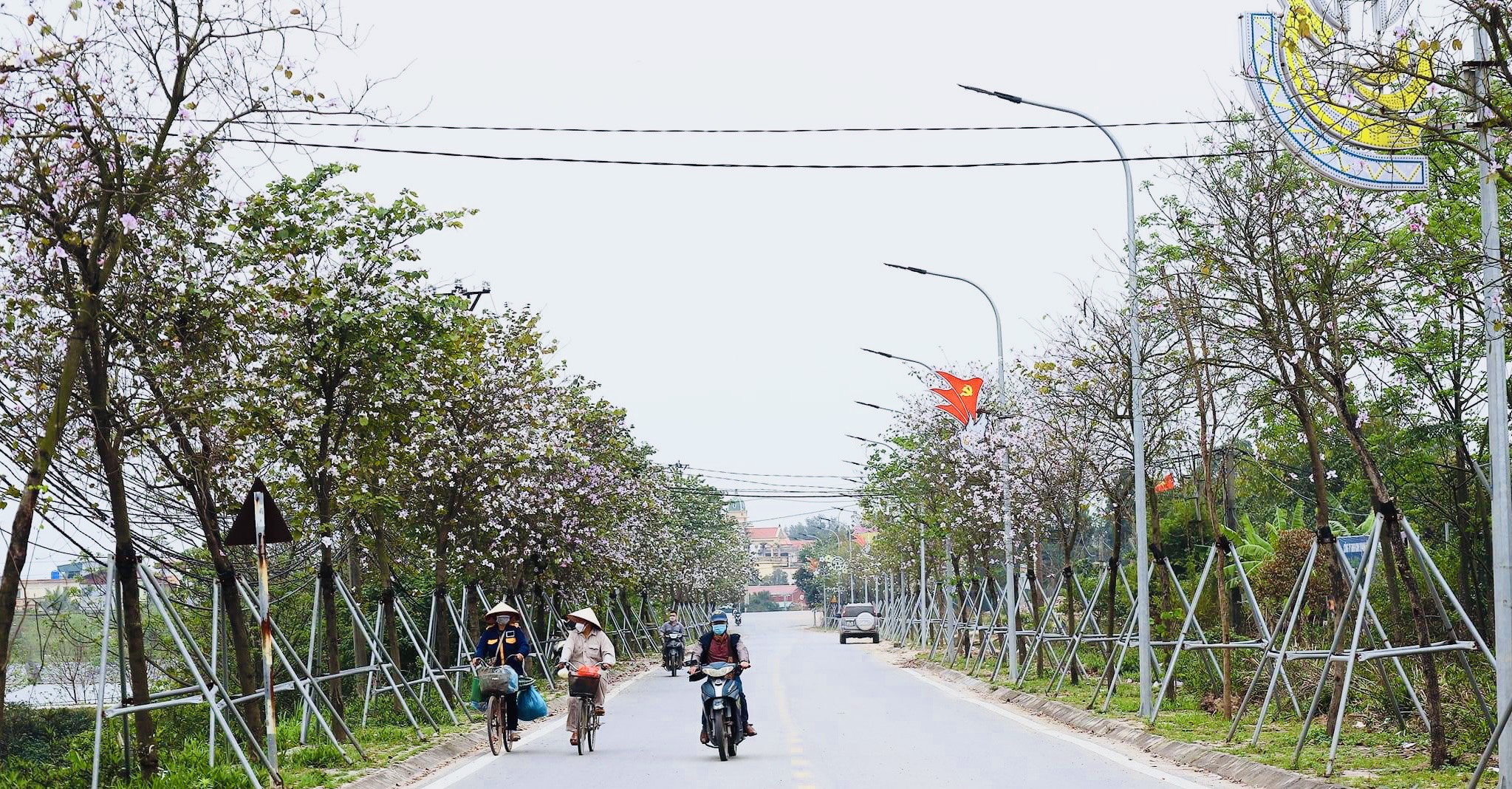 Cảnh quan xanh mát Xã Yên Mỹ, Huyện Thanh Trì với những luống hoa