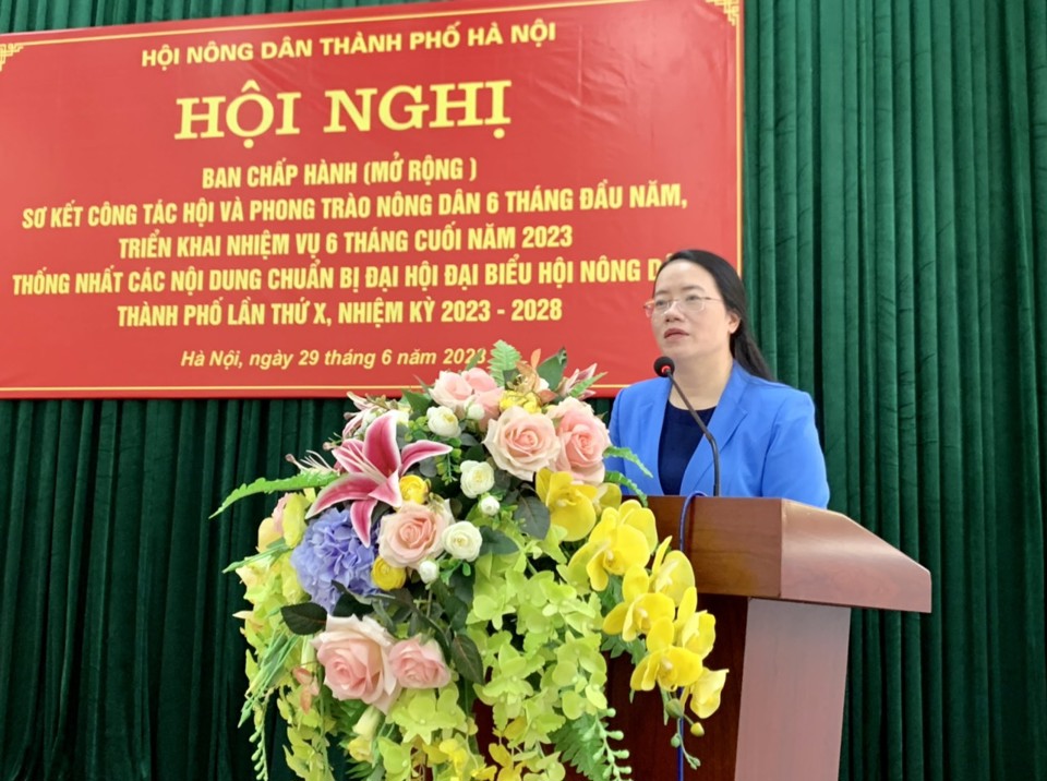 Chủ tịch Hội Nông dân TP Hà Nội Phạm Hải Hoa phát biểu tại hội nghị.