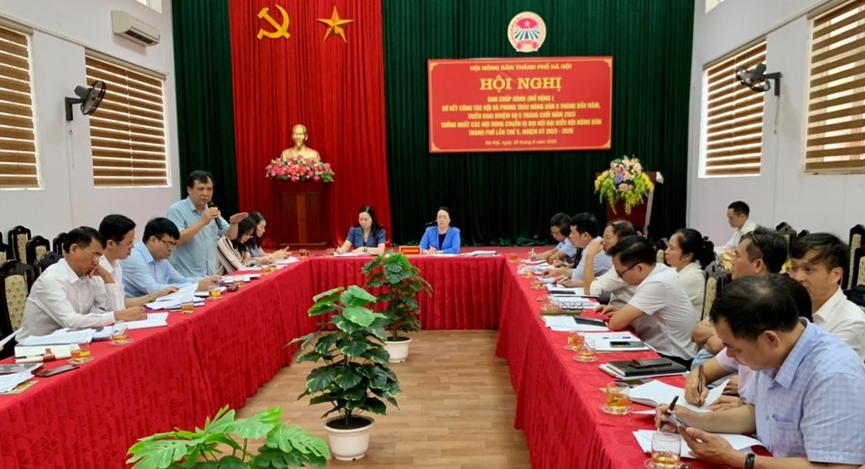 Các đại biểu tham gia tham luận tại hội nghị. 