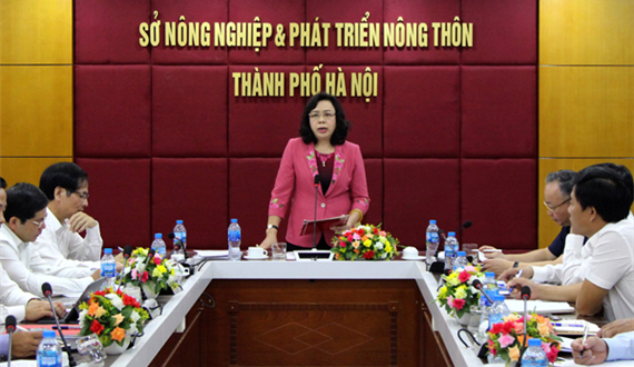 Kiểm tra việc thực hiện 3 Nghị quyết của Trung ương, Thành ủy tại Sở NN&amp;PTNT