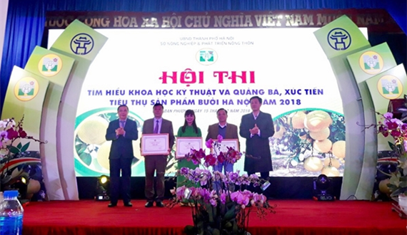 Trao giải Hội thi “Tìm hiểu khoa học kỹ thuật và quảng bá, xúc tiến tiêu thụ sản phẩm bưởi Hà Nội năm 2018”