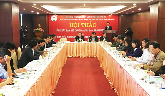 Tăng cường liên kết hợp tác giữa Liên minh HTX các tỉnh, thành phố, thúc đẩy tiêu thụ nông sản an toàn
