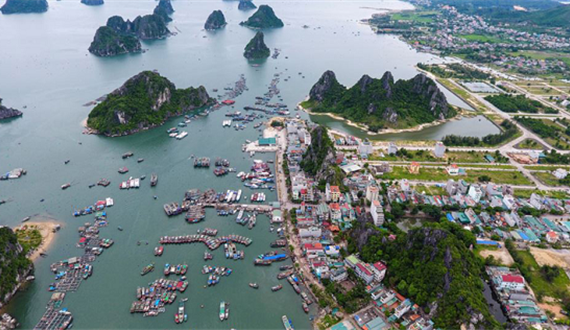 Không thể mơ hồ
