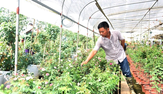Huyện Mê Linh: Điểm sáng sau 10 năm về với Thủ đô