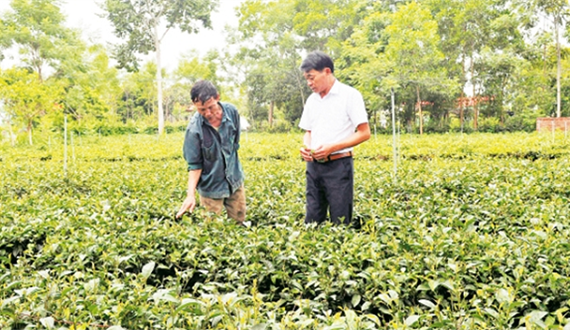 Hiệu quả từ chuyển đổi cơ cấu kinh tế đúng hướng