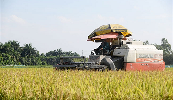 Nâng cao hiệu quả sử dụng đất nông nghiệp: Bài 2: Nhanh chóng đổi mới, hoàn thiện các cơ chế, chính sách