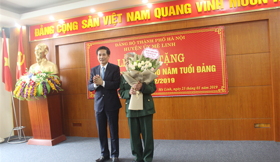 Trưởng Ban Nội chính Thành ủy trao Huy hiệu Đảng tại huyện Mê Linh