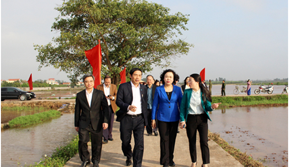 Phó Bí thư Thường trực Thành ủy kiểm tra công tác triển khai vụ Xuân tại huyện Phú Xuyên