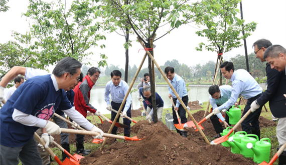 Chủ tịch UBND Thành phố Nguyễn Đức Chung trồng hoa anh đào tại Công viên Hòa Bình