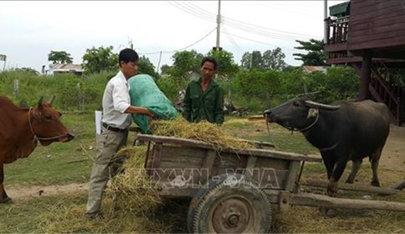 Cán bộ, đảng viên gương mẫu, đi đầu trong phát triển kinh tế - xã hội
