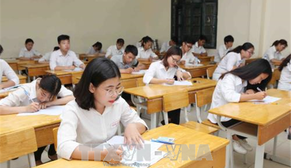Đừng như bầy ong chỉ biết xây tổ, làm mật