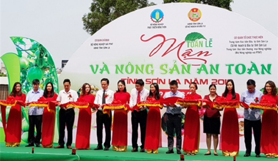 Đưa nông sản an toàn Sơn La đến với người dân Thủ đô