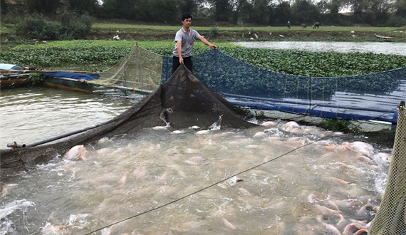 Xã Bắc Sơn nỗ lực giảm nghèo về đích nông thôn mới