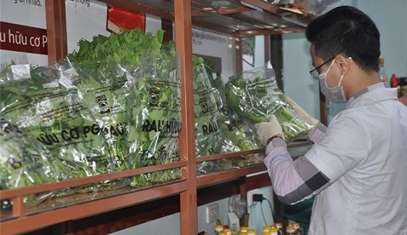 Hà Nội thanh tra đồng loạt an toàn thực phẩm từ 10/7