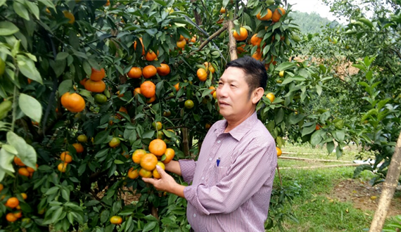 Hợp tác xã nông nghiệp xã Kim An: Điểm sáng trong học tập và làm theo tư tưởng, đạo đức, phong cách Hồ Chí Minh