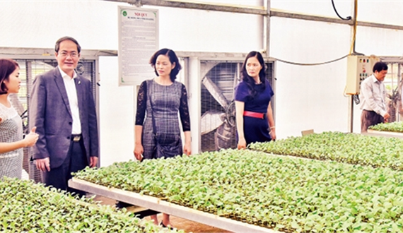 Ðổi mới phương thức hoạt động tổ chức đảng tại các doanh nghiệp sau cổ phần hóa