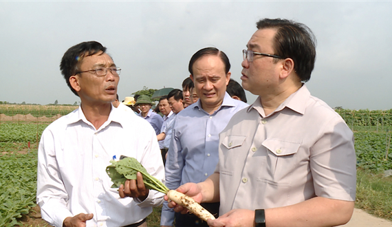Huyện Mê Linh: Bức tranh nông thôn mới bừng sáng sau 10 năm thực hiện Chương trình 02-CT/U