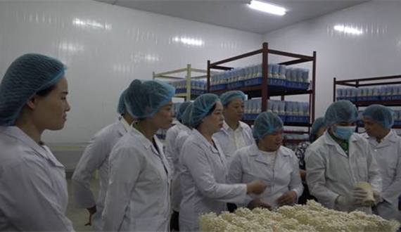 Mỹ Đức đẩy mạnh phong trào thi đua yêu nước kỷ niệm 50 năm thực hiện Di chúc của Chủ tịch Hồ Chí Minh