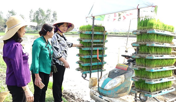 Học tập và làm theo Bác ở hợp tác xã nông nghiệp xã Bình Minh