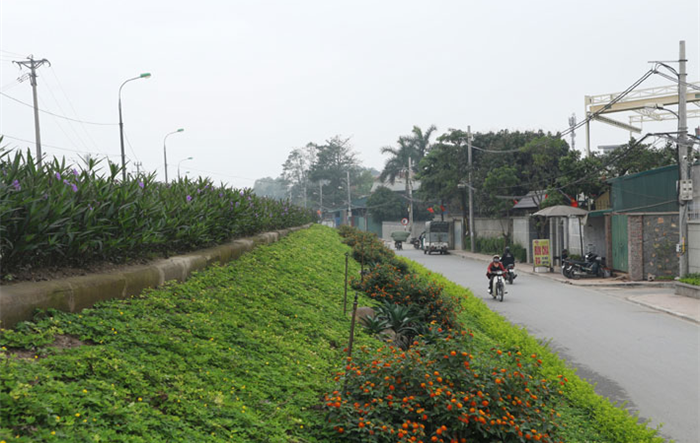 Hà Nội: Đẩy mạnh phong trao thi đua xây dựng “Tuyến đê kiểu mẫu”