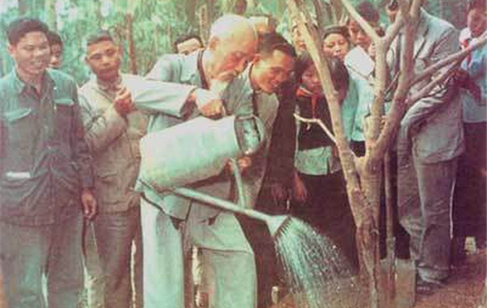“Trồng cây” và “trồng người” như lời Bác dặn