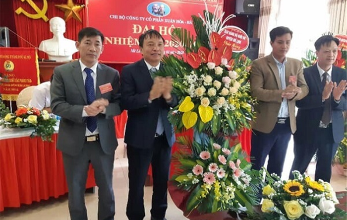Đảng ủy khối Doanh nghiệp huyện Mê Linh tổ chức thành công Đại hội chi bộ điểm