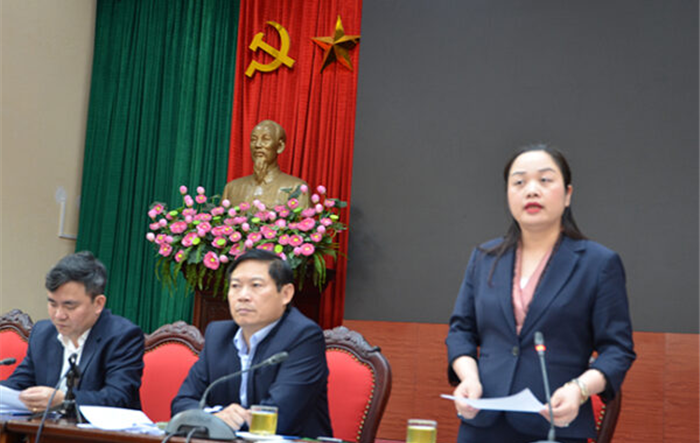 Thành phố Hà Nội: Tổ chức 30 điểm bắn pháo hoa đêm Giao thừa đón Tết Canh Tý 2020 