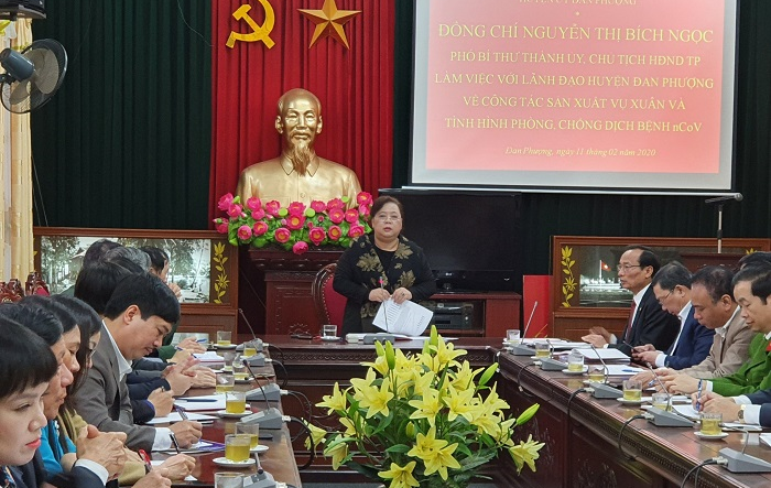 Chủ tịch HĐND Thành phố Nguyễn Thị Bích Ngọc làm việc với huyện Đan Phượng