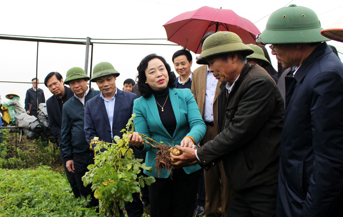 Phó Bí thư Thường trực Thành ủy kiểm tra công tác xây dựng nông thôn mới tại huyện Thạch Thất