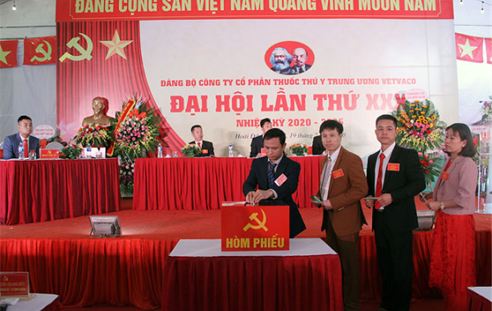Tổ chức đại hội điểm đảng bộ, chi bộ cơ sở nhiệm kỳ 2020-2025: Thành công và kinh nghiệm 