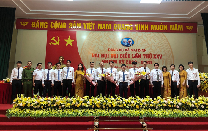 Phát huy mọi nguồn lực và lợi thế, xây dựng xã Mai Đình trở thành xã nông thôn mới nâng cao